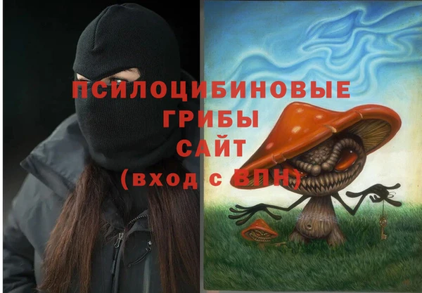 Альфа ПВП Абаза