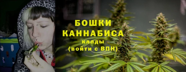 Альфа ПВП Абаза