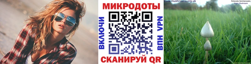 Псилоцибиновые грибы Cubensis закладка blacksprut ссылки Аксай